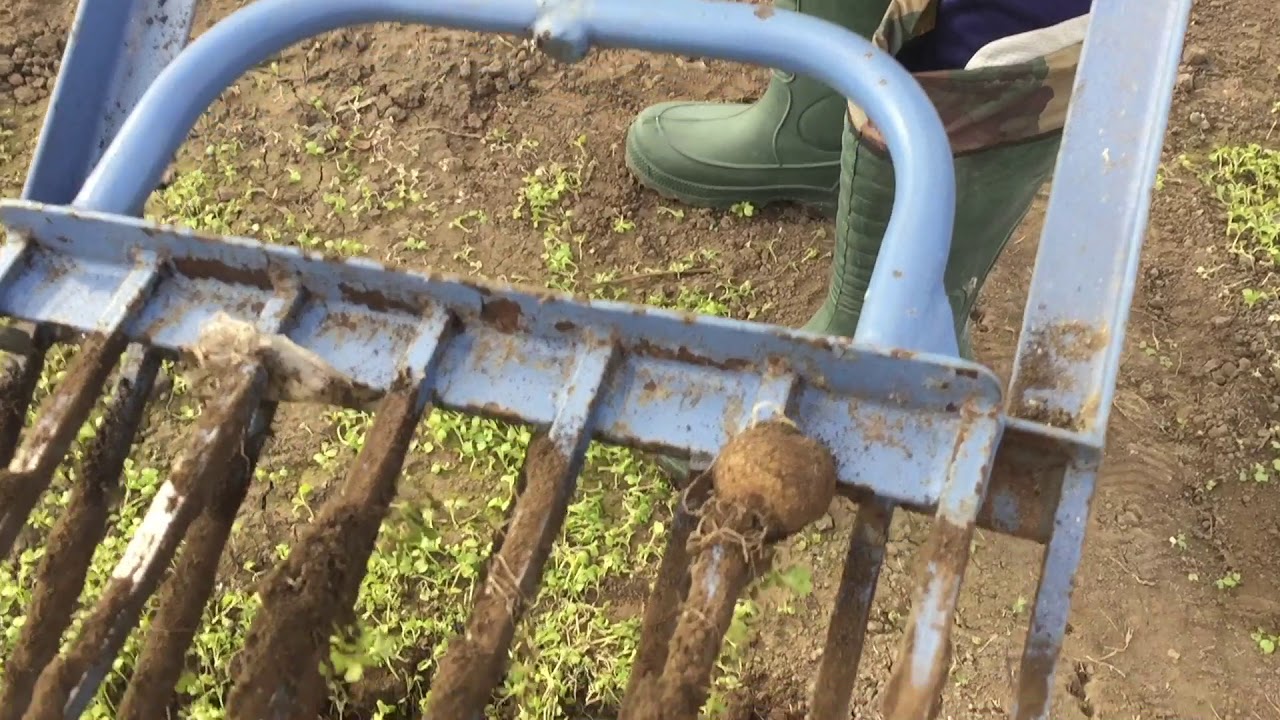 Перекопка земли без особых усилий. Моя 