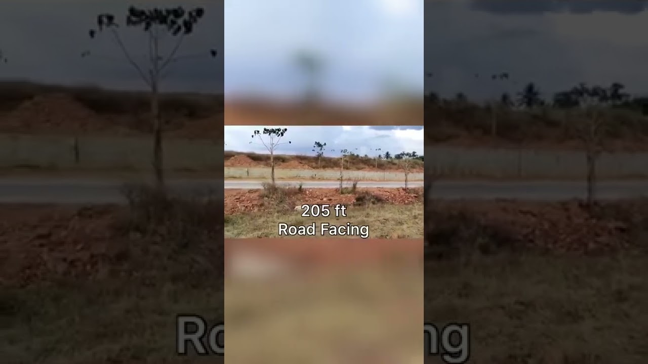 11 Gunta farm land for sale in Hoskote - Bangalore
