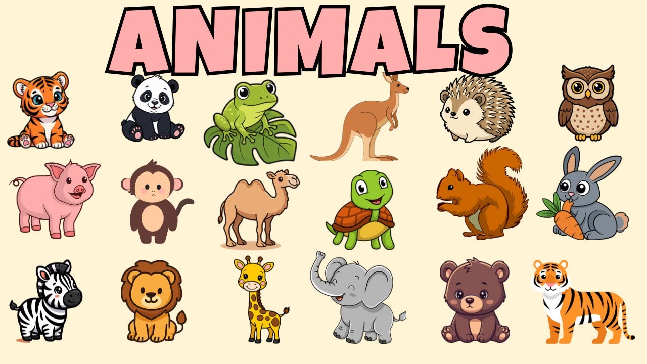 20 Animals Names for Kids | Animals Names for baby