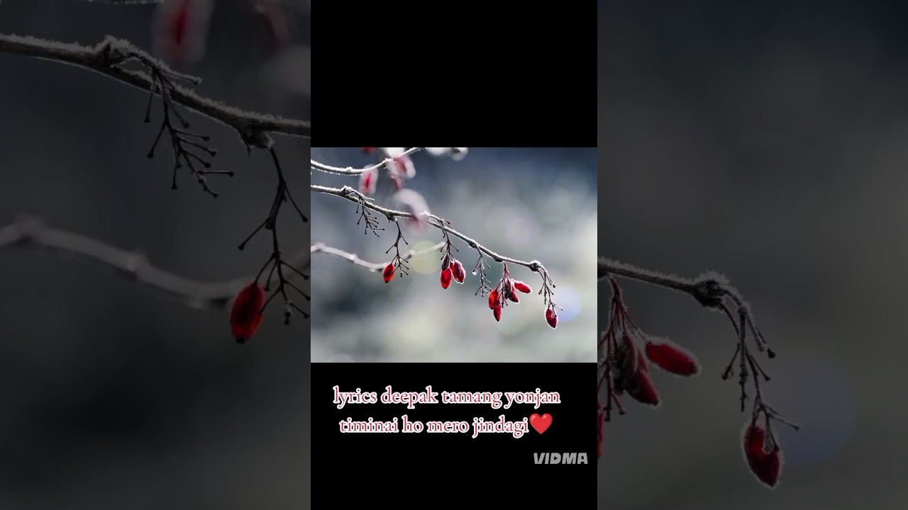 Lyrics deepak tamang (तिमी नै हौ मेरो जिन्दगी, जुन)