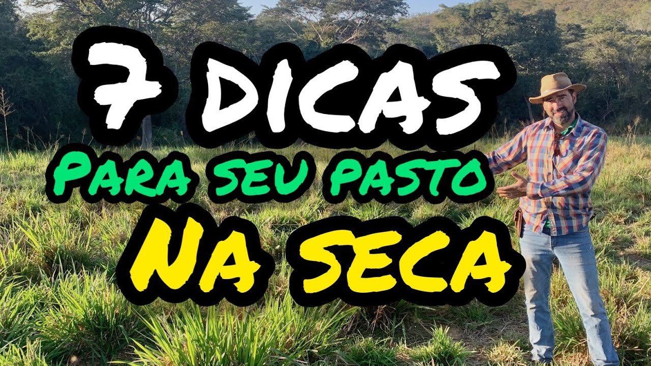 DICAS VALIOSAS PARA VOC&Ecirc; MANEJAR SEU PASTO NA &Eacute;POCA DA SECA | FA&Ccedil;A ISSO &Eacute; TENHA O MELHOR PASTO..