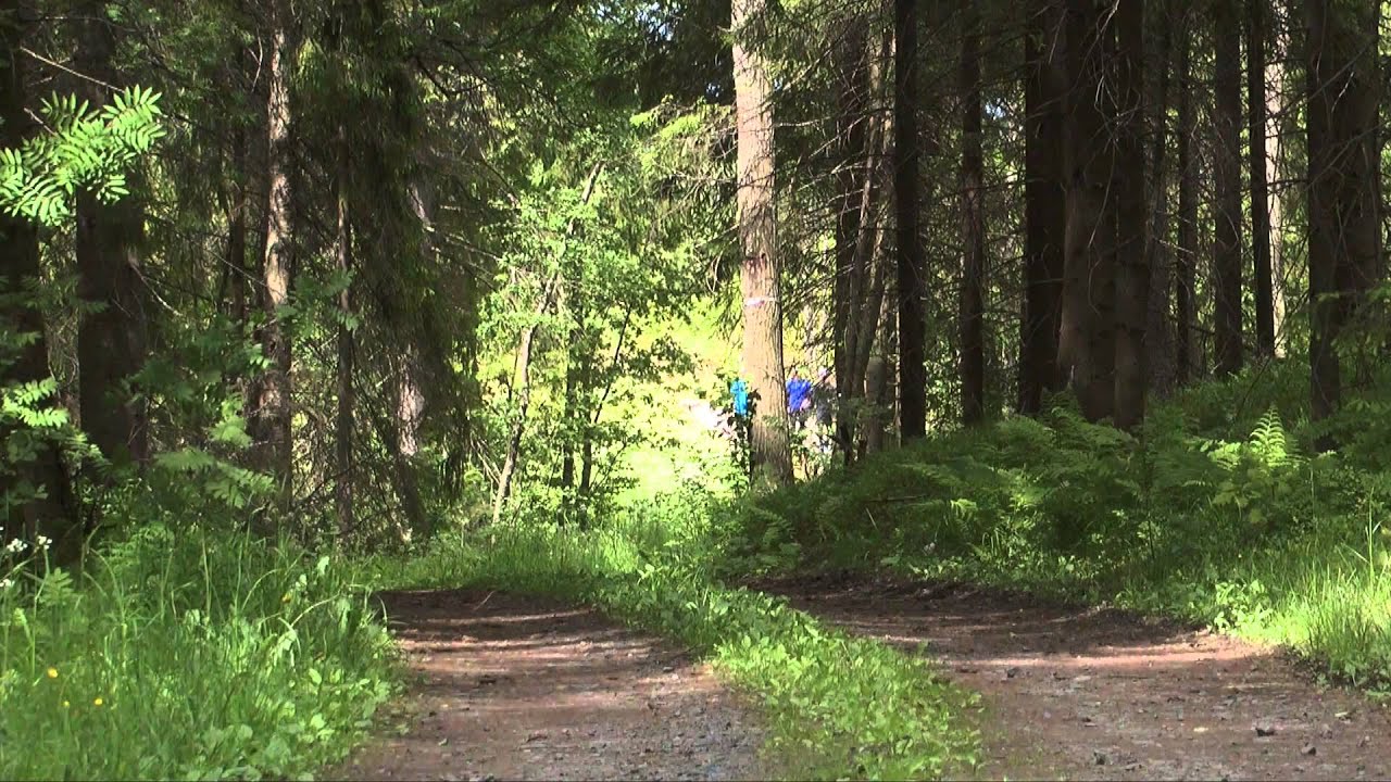 SaiPa jää lomalle kesäkuussa 2015