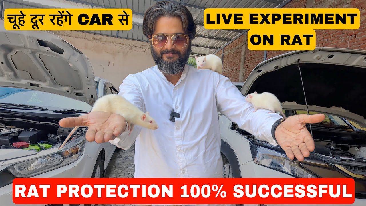 Rat Protection for Car 100% Successful || चूहे दूर रहेंगे Car से