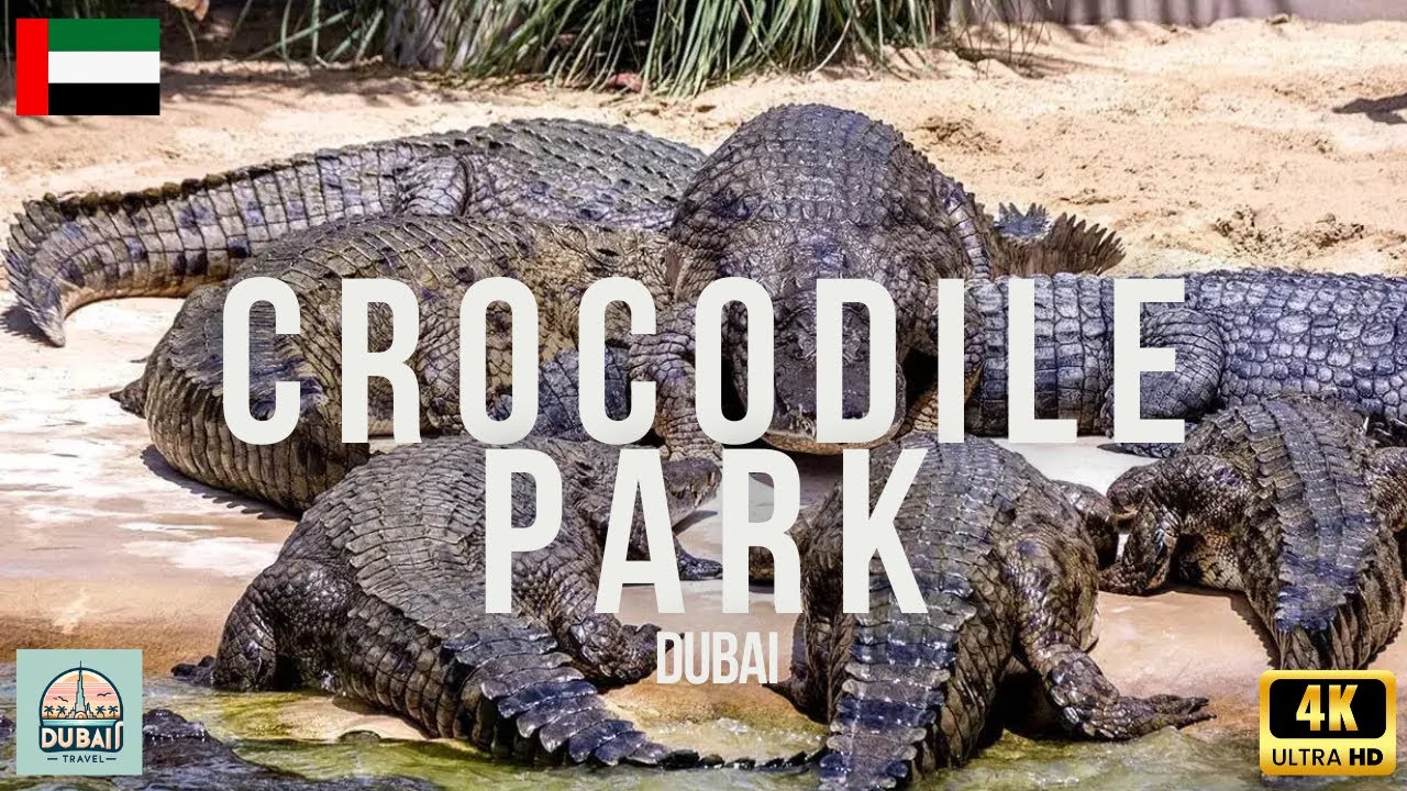 Crocodile Park Dubai 🇦🇪 Walking tour 4K