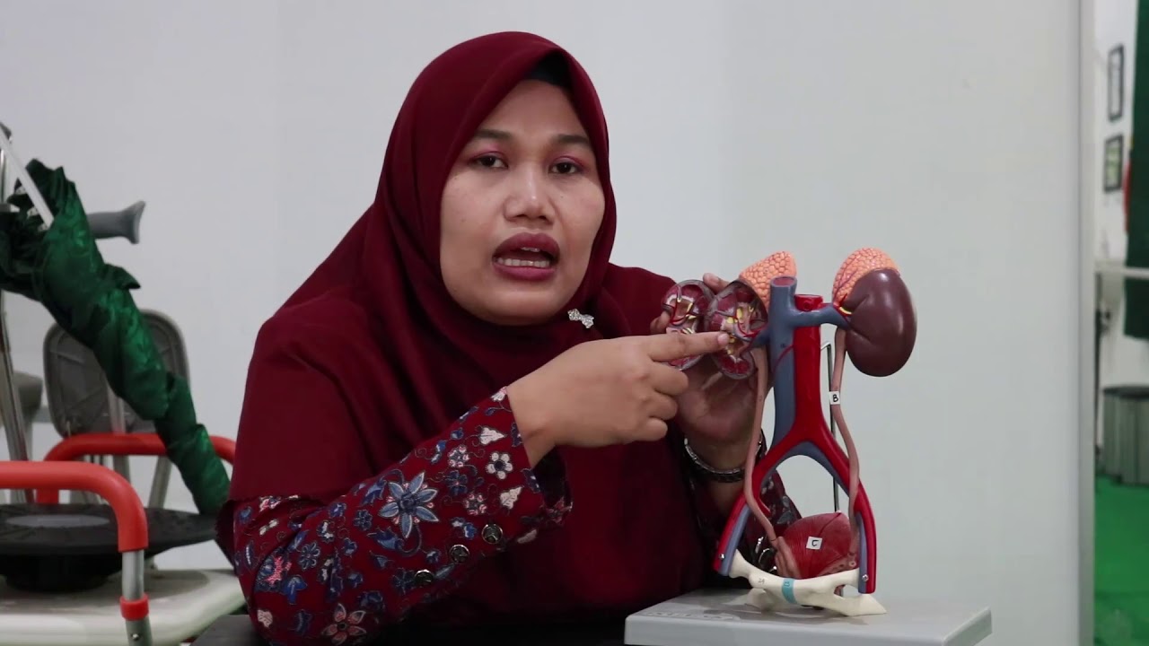 Praktikum Anatomi Fisiologi Sistem Perkemihan bu dewi