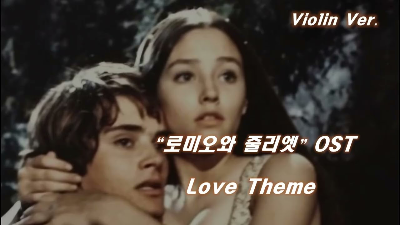 [Violin Ver] Love Theme — Romeo and Juliet OST | 바이올린 멜로디 커버 | 감성 바이올린 멜로디 연주 🎻