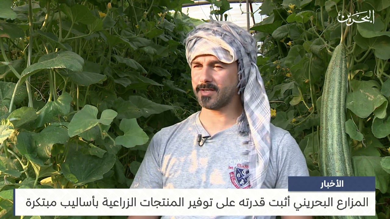 البحرين مركز الأخبار : المزارع البحريني أثبت قدرته على توفير المنتجات الزراعية بأساليب مبتكرة