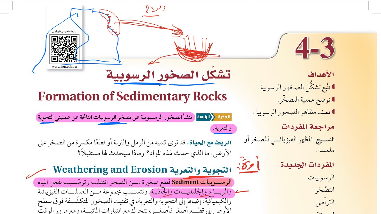 تشكل الصخور الرسوبية علوم الأرض والفضاء ثالث ثانوي 1445