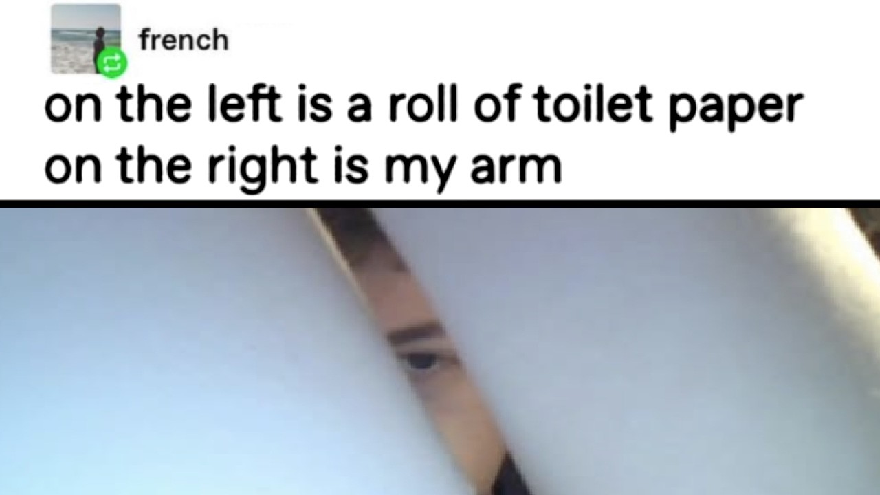Tumblr Memes