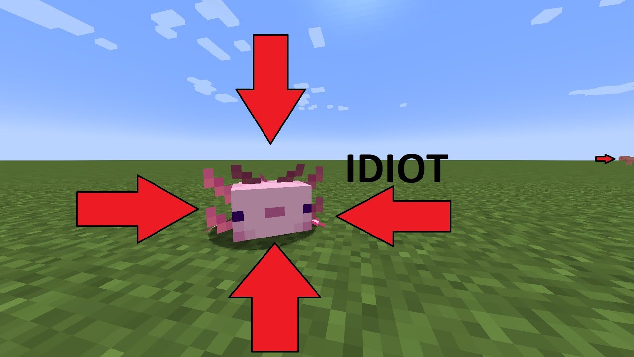 The DUMBEST Mob in Minecraft...