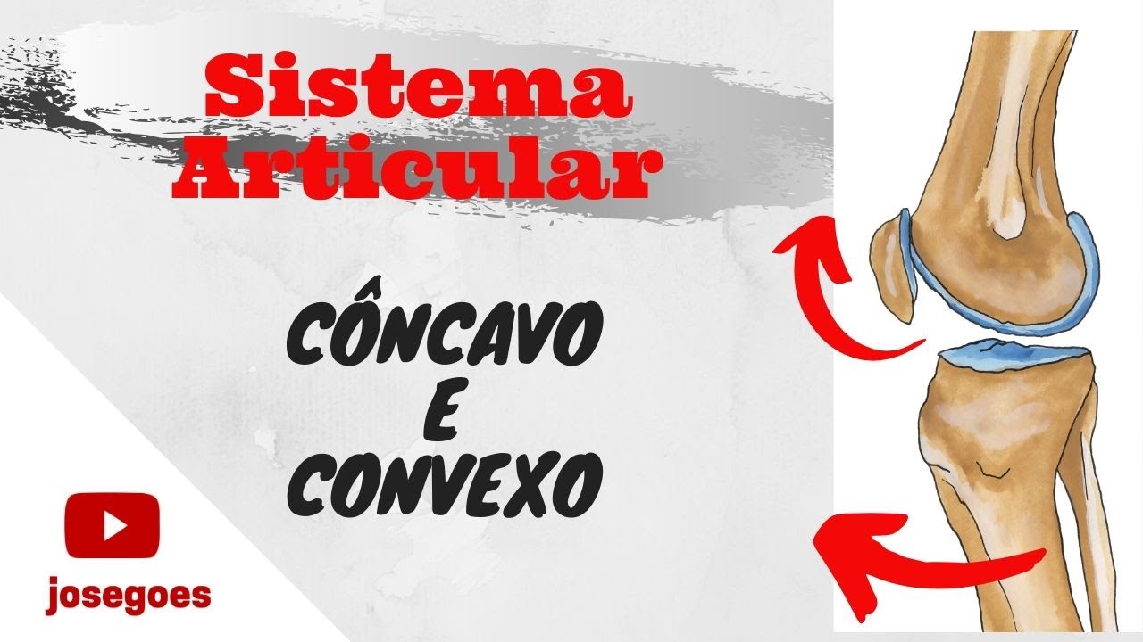 Sistema Articular - Côncavo e Convexo