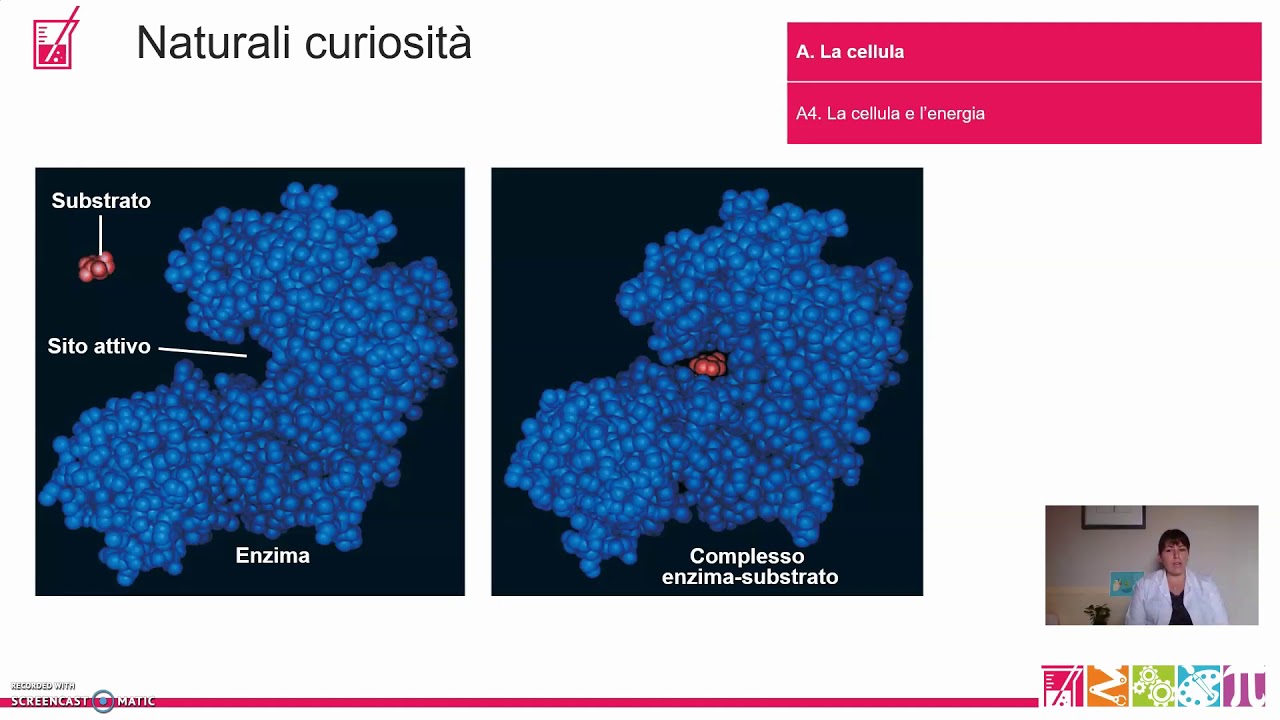 A4.  La cellula-  La cellula e l'energia