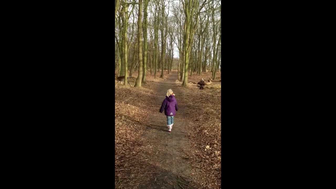 John Metgod het bos in