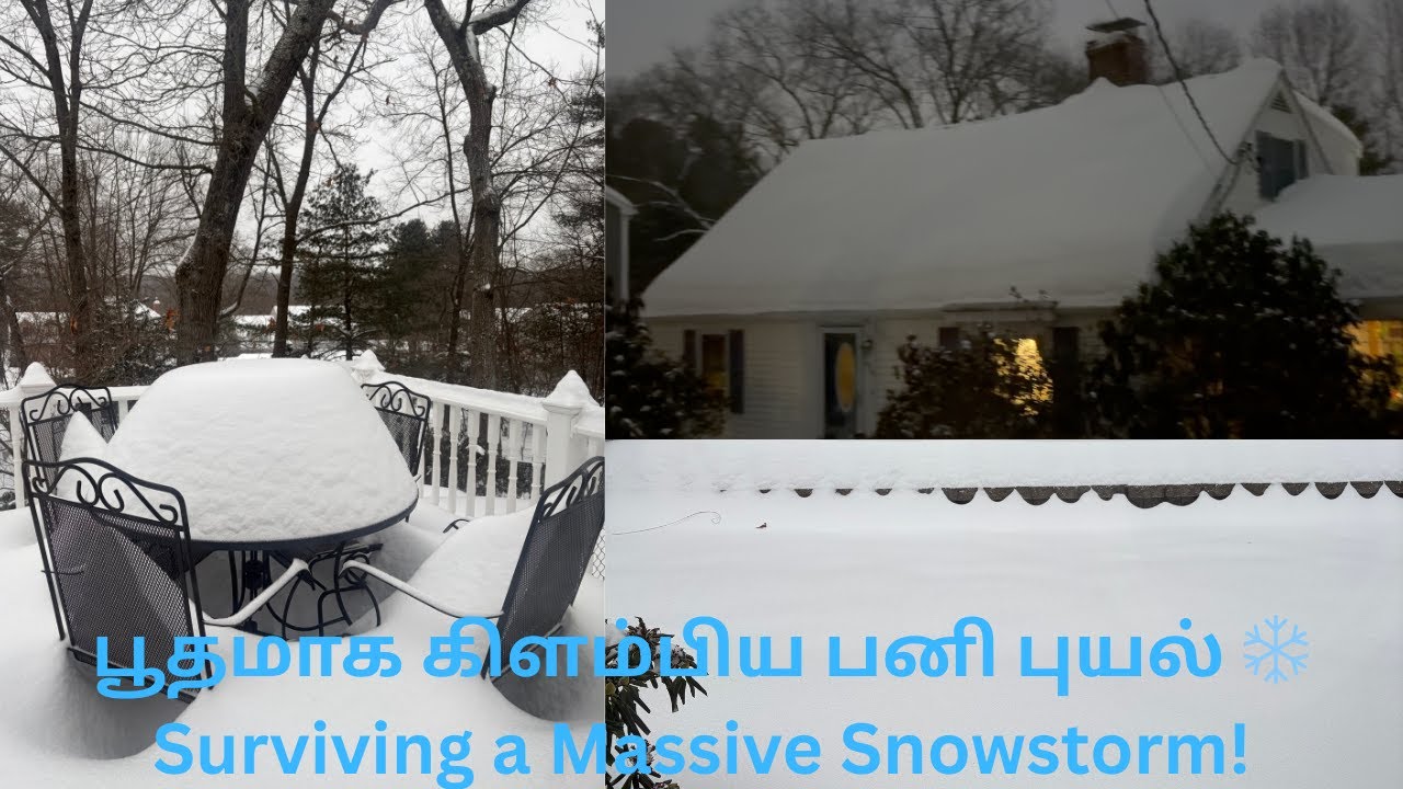 பூதமாக கிளம்பிய பனி புயல் ❄️ | Snowstorm Nightmare | How We Tackled 24 Inches snow