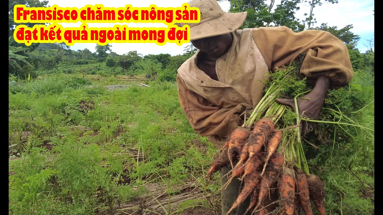 Fransisco &ocirc;m b&oacute; c&agrave; rốt vẻ mặt cực kỳ h&atilde;nh diện || Tony Phong cuộc sống Ch&acirc;u Phi
