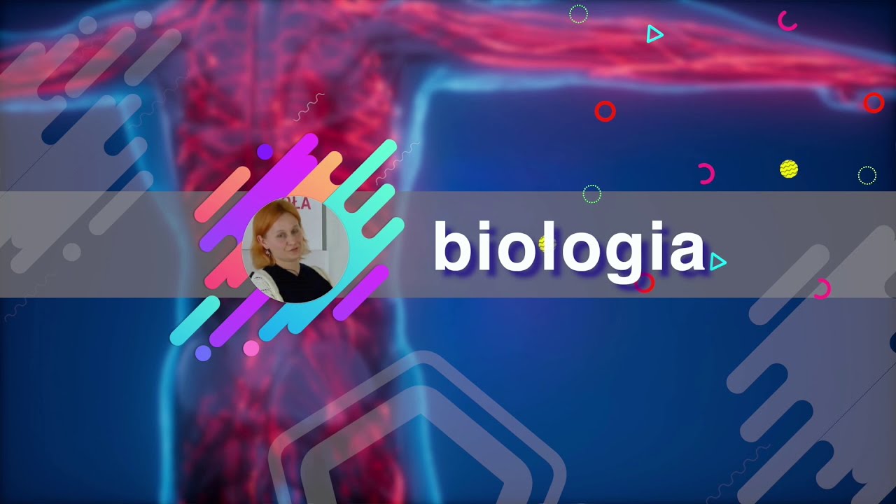 Biologia - LO  - matura. Regulacja ekspresji genów