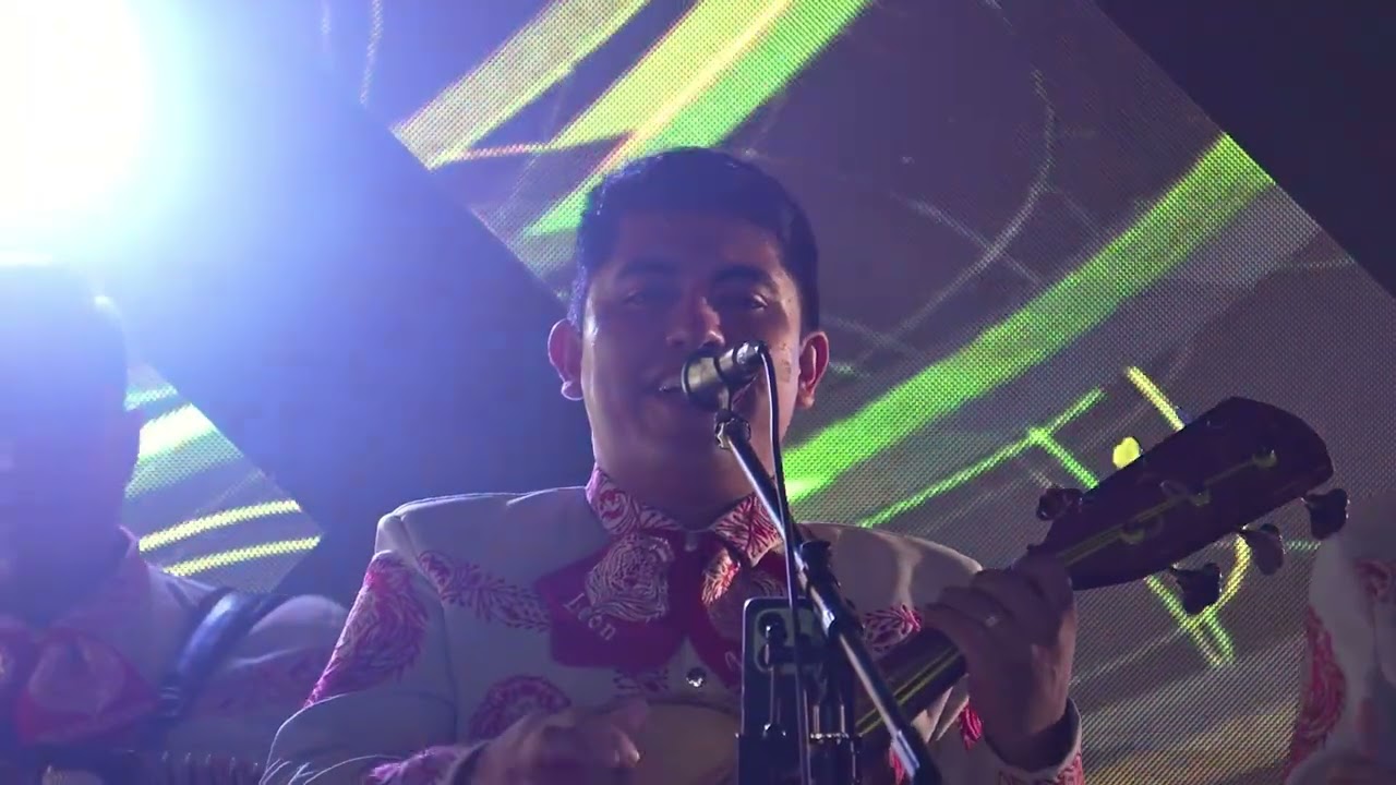 Vicente Fernández mix - Mariachi León Guanajuato ( EnVivo)