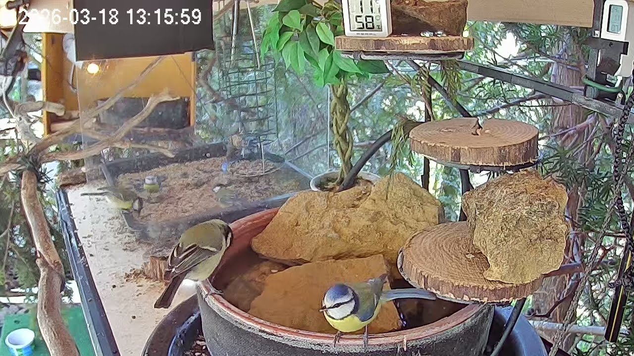 Entspannter Mittag am Vogel-Spa (18.03.2026)