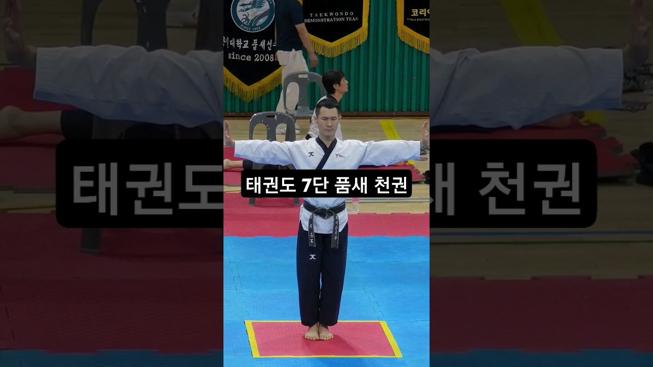 태권도 7단 품새 천권