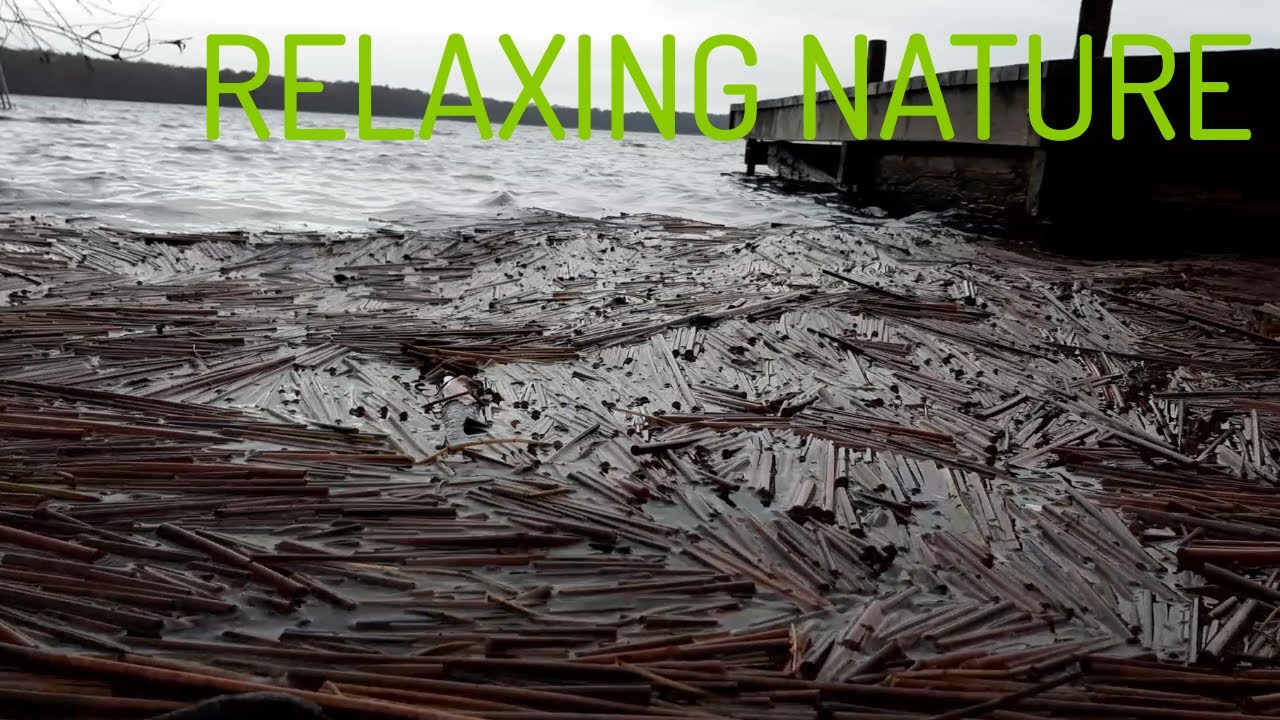 Relaxing Nature: 🌊 Soothing sounds of small waves and crackling cracked reeds ❤️🙏