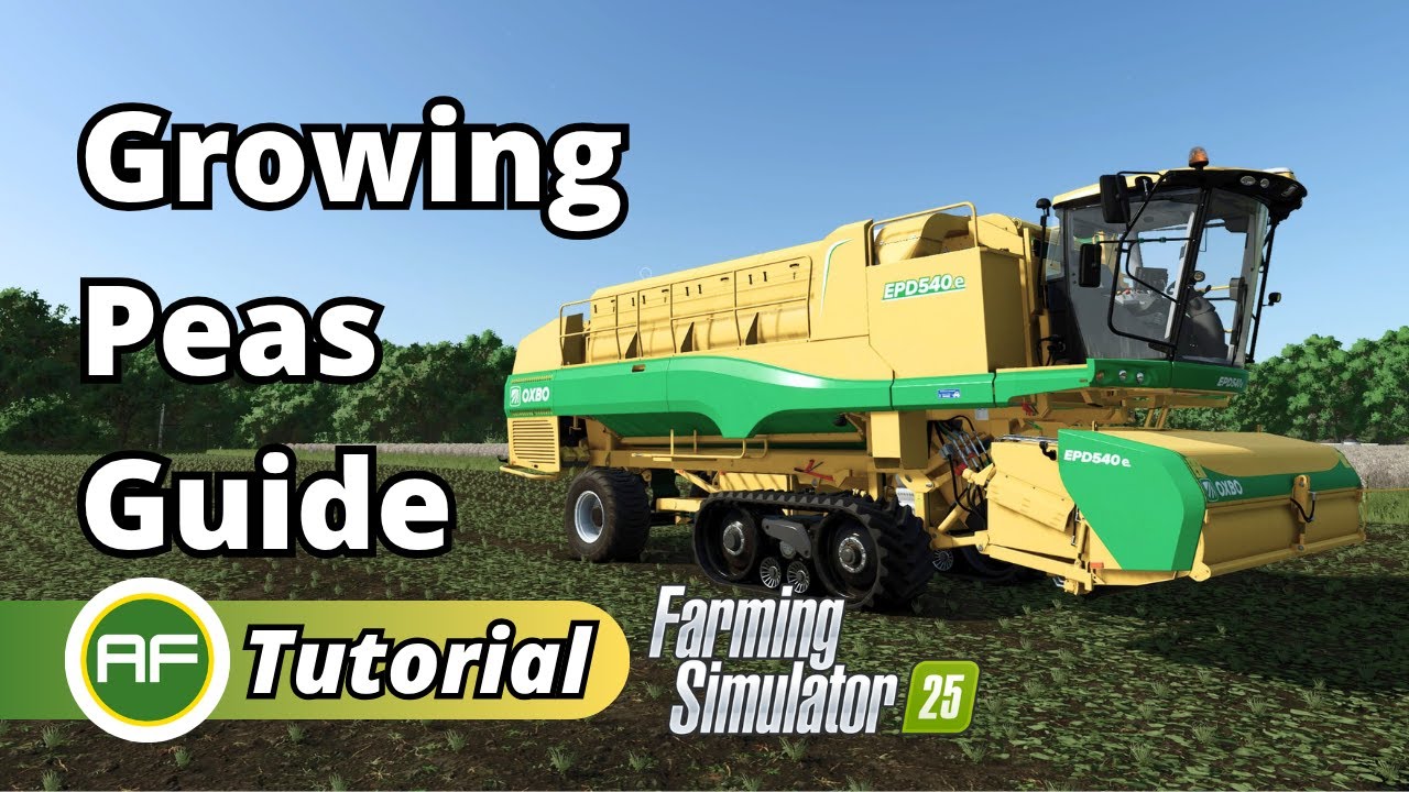 Как выращивать горох в Farming Simulator 25