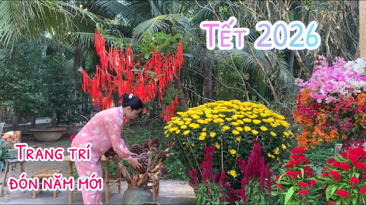 Hoàn Thiện Xong Trang Trí Cây Nhà Lá Vườn Chuẩn Bị Đón Tết 2026