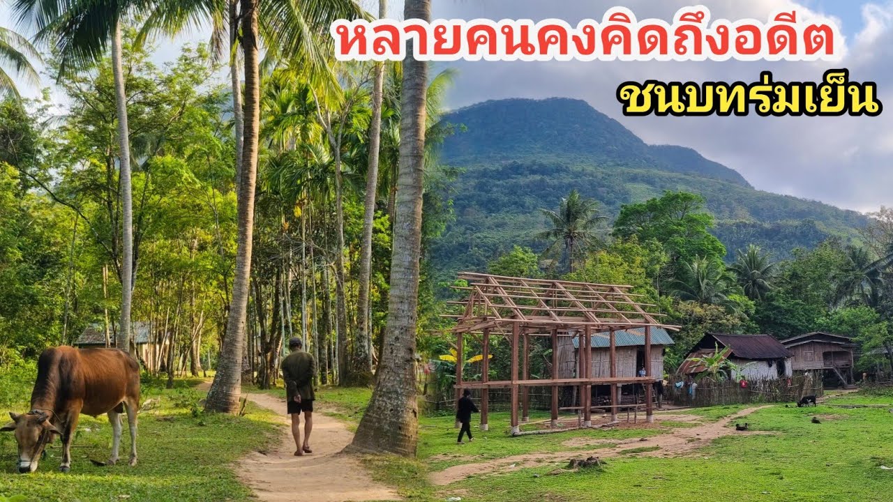 หมู่บ้านที่ทำให้หลายคนคิดถึงอดีตเมื่อ 50 ปีก่อนในประเทศไทย