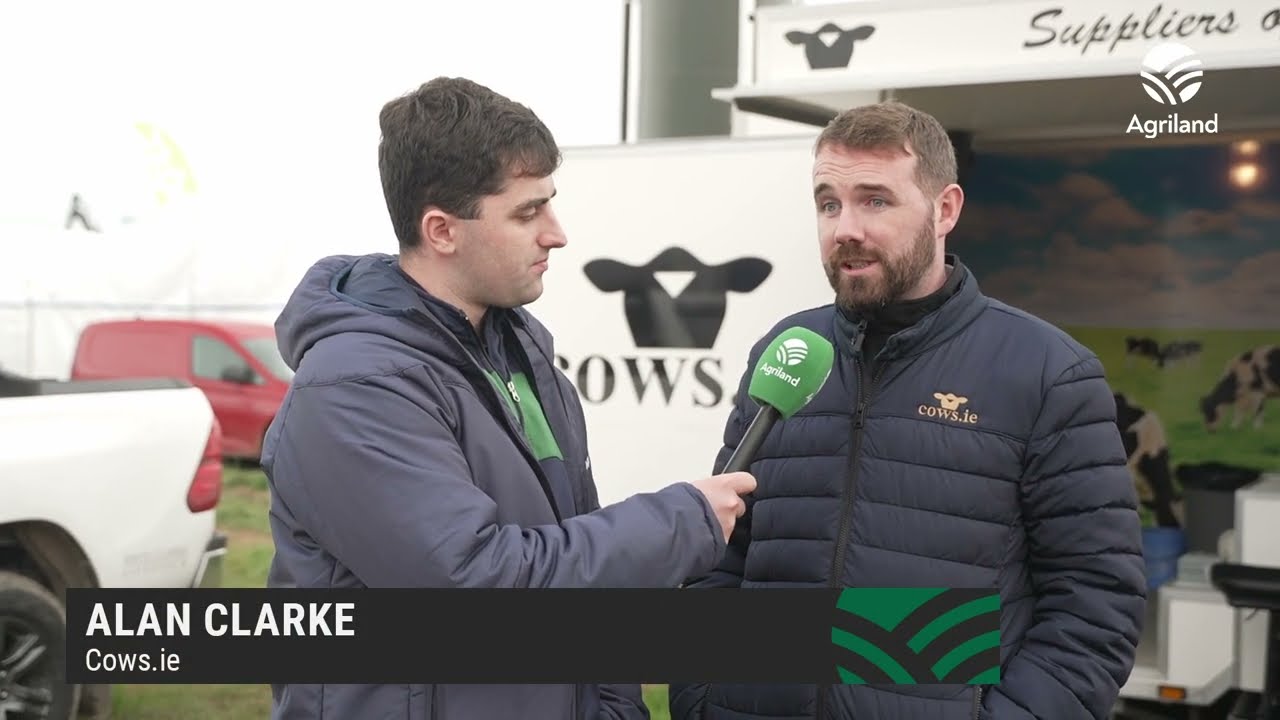 Alan Clarke of Cows.ie on the need for more heifers to keep dairying going