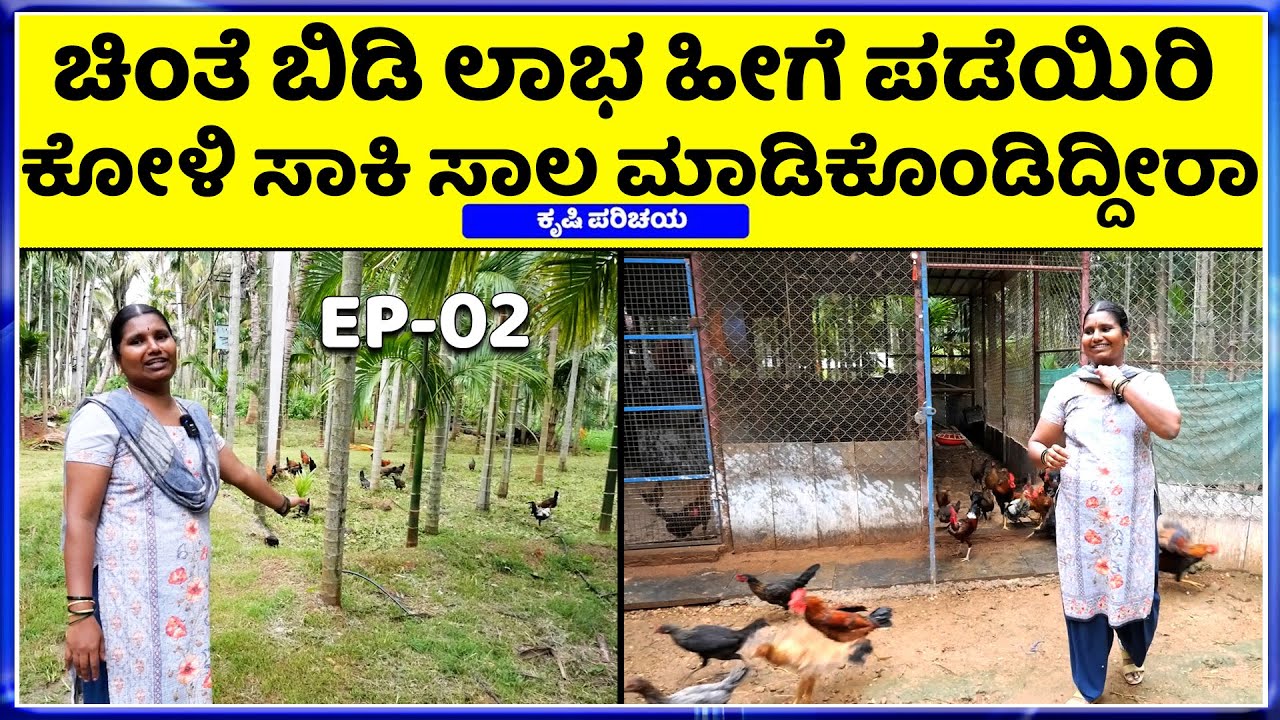 Nati koli information || ಈ ಮಹಿಳೆ ಮಾತು ಸೋತವರಿಗೆ  ಮತ್ತೆ ಗೆಲುವು ಖಚಿತ