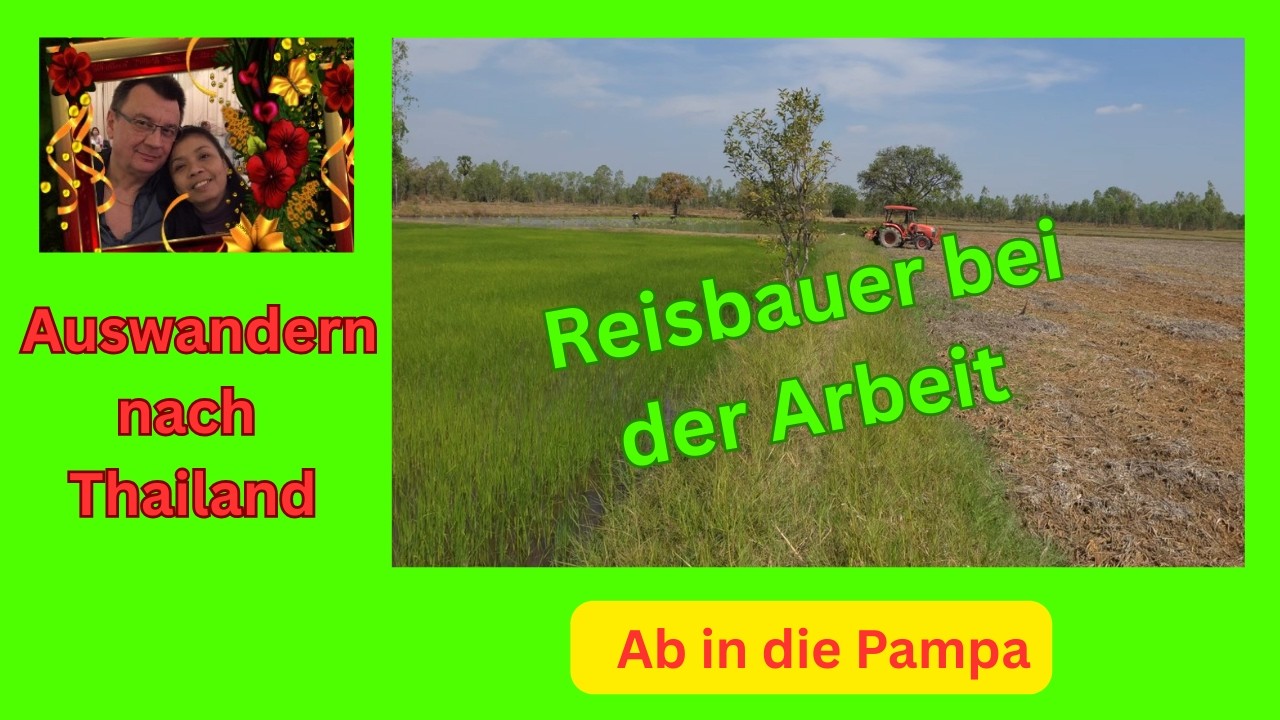 Ab in die Pampa. Thailändischer Reisbauer bei der Arbeit