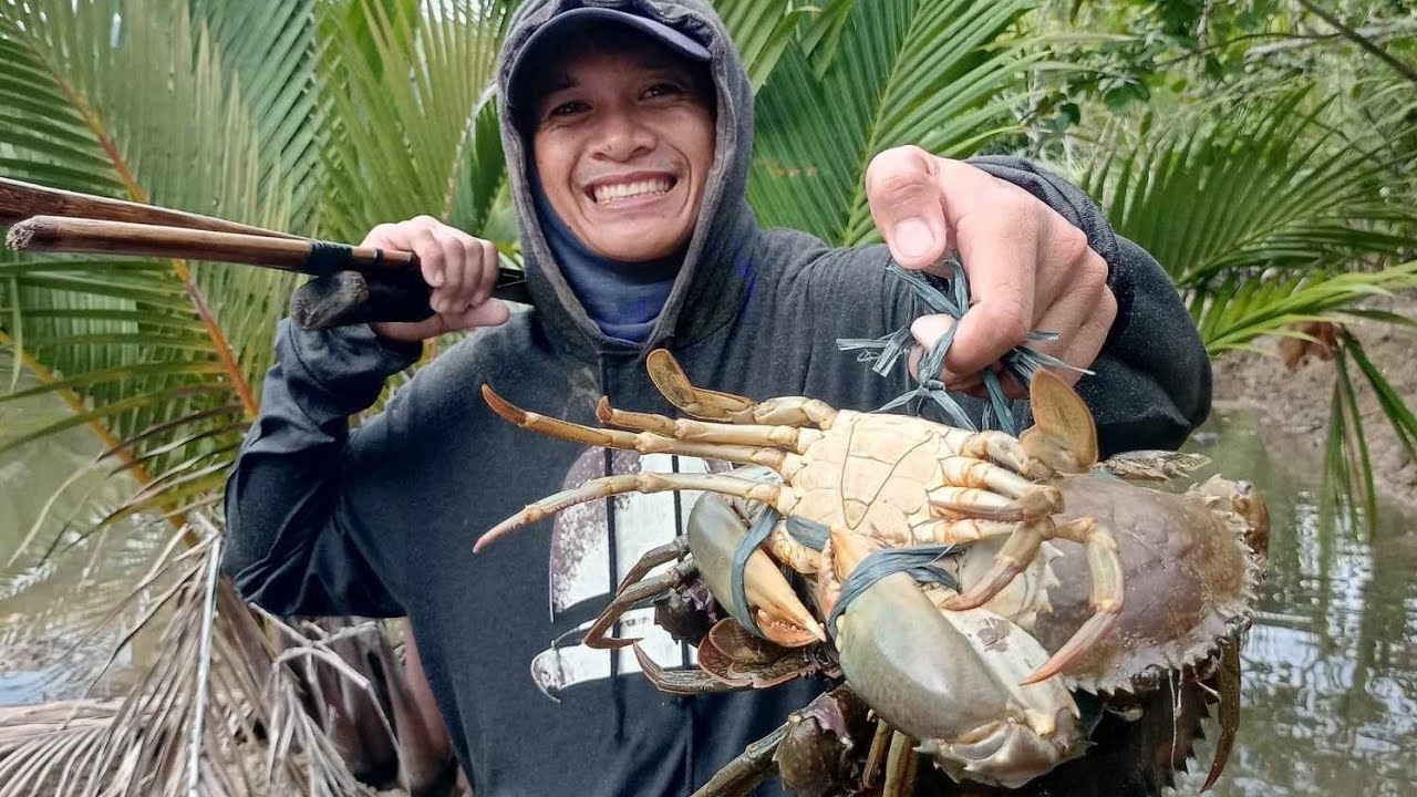 Ep. 245 Hunting Mudcrabs or Alimango! Catch & Cook Part.1