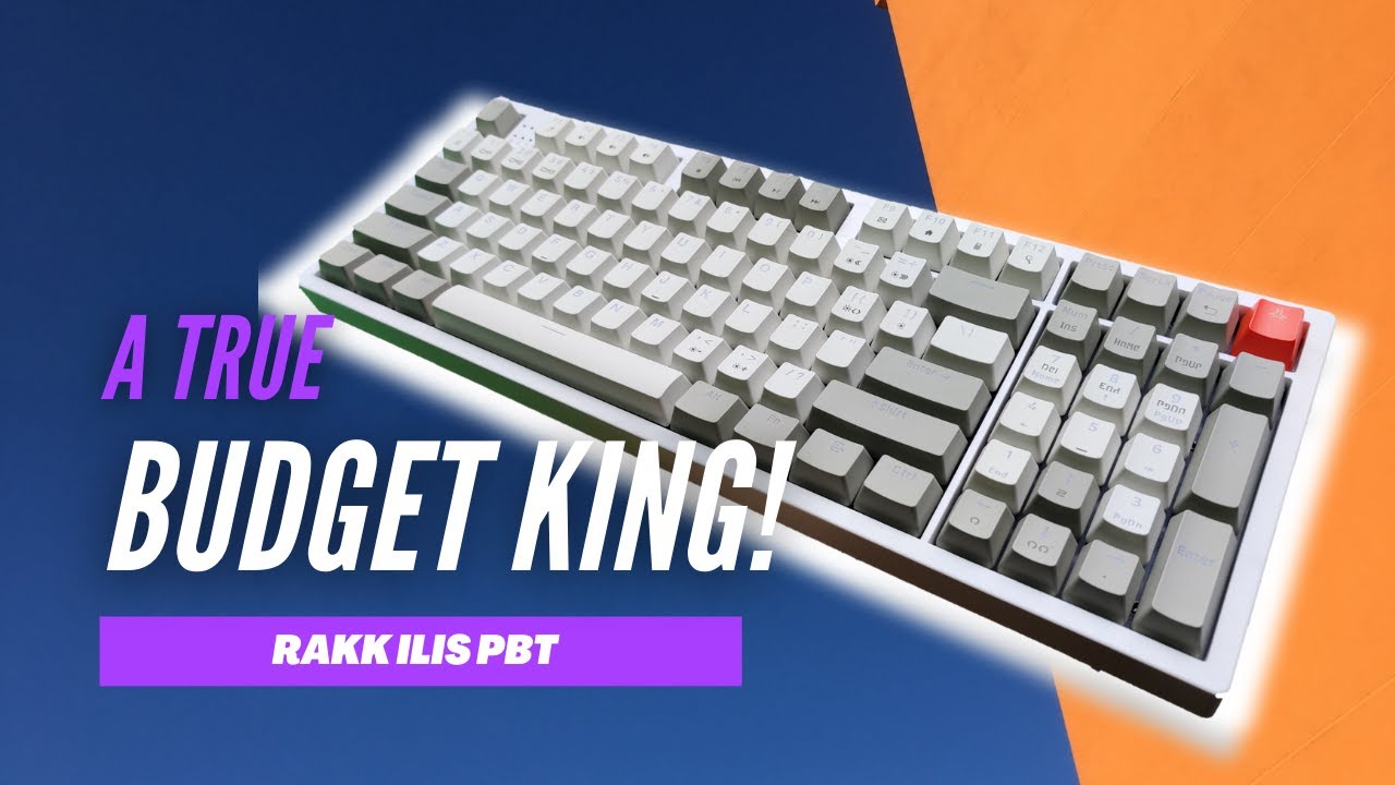 BEST BUDGET MECHANICAL KEYBOARD (RAKK ILIS PBT RED SWITCH) - Full review & thoughts