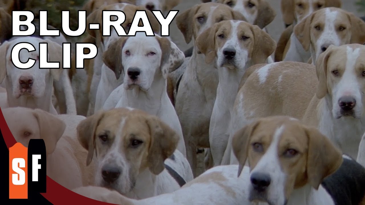 The Omen Collection: Omen III: The Final Conflict (1981) - Clip: Puppy Overload (HD)