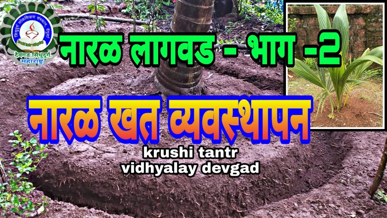 नारळ लागवड -भाग - 2 नारळ खत व्यवस्थापन./Coconut Trees Fertilizer Management/Naral Khat Vyavasthapan