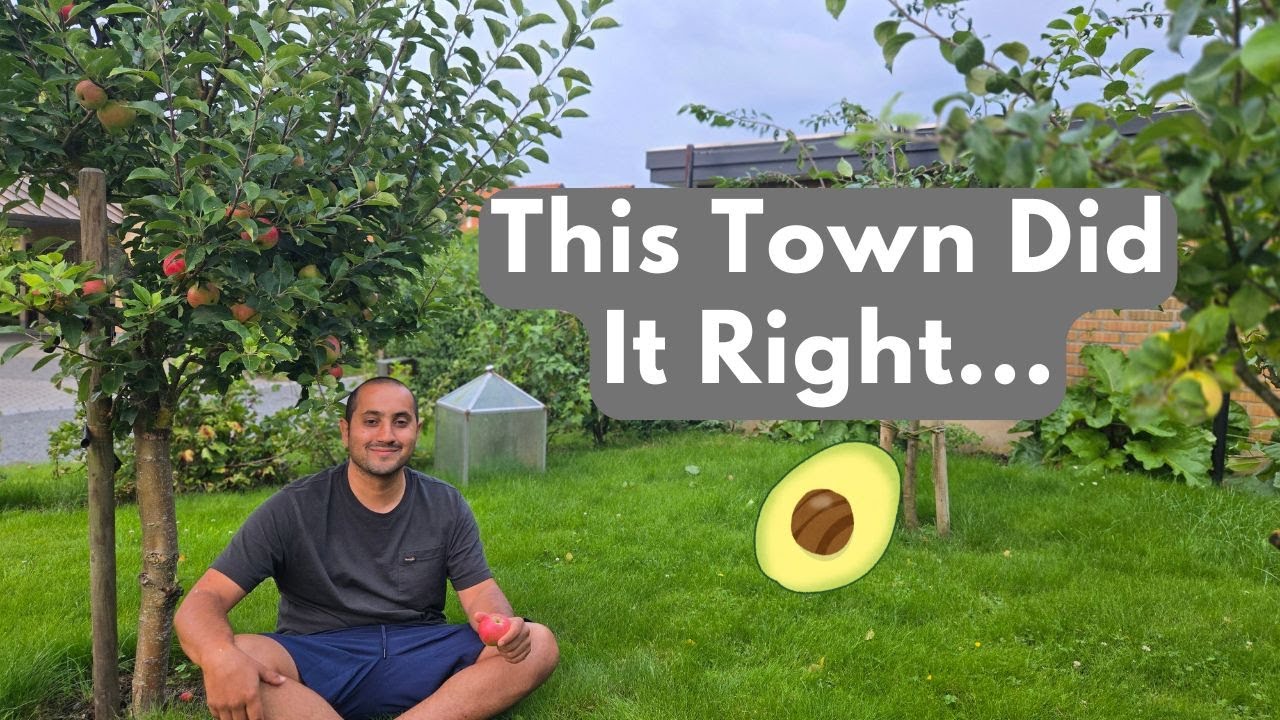 Exploring a Town Where Fruit Trees Dominate!