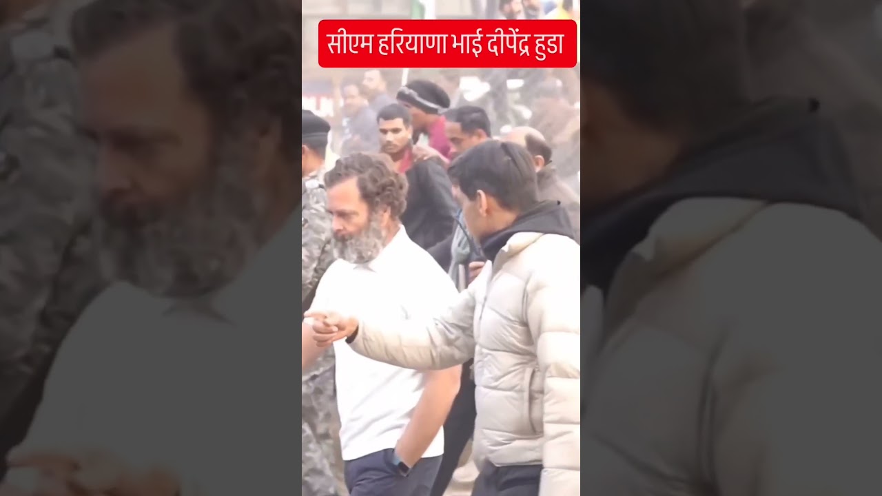 Deepender Hooda#shorts#congress #deepender_hooda #song #viral 🔥🔥