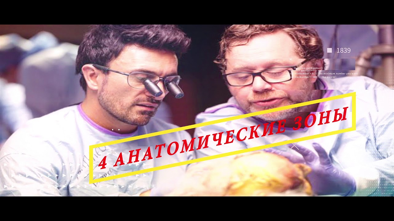 Cadaver Course Hands-On Face, Hands and Genitalia