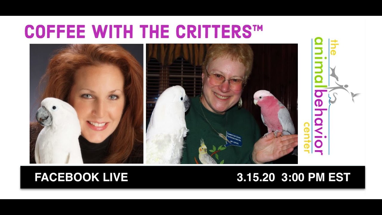 Coffee With The Critters™ - with Dr. Amy Hopkins re: Covid-19 Pandemic