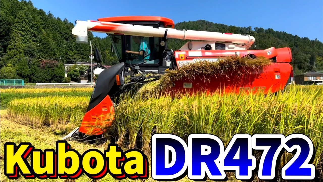 Kubota DR472 クボタの4条72馬力コンバインで刈り取りSTAR🏃