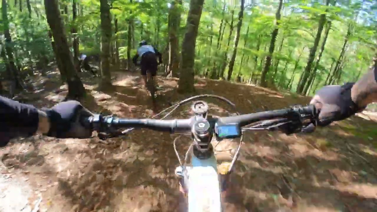 Burdindogui estaba perfecto 💯💯💯