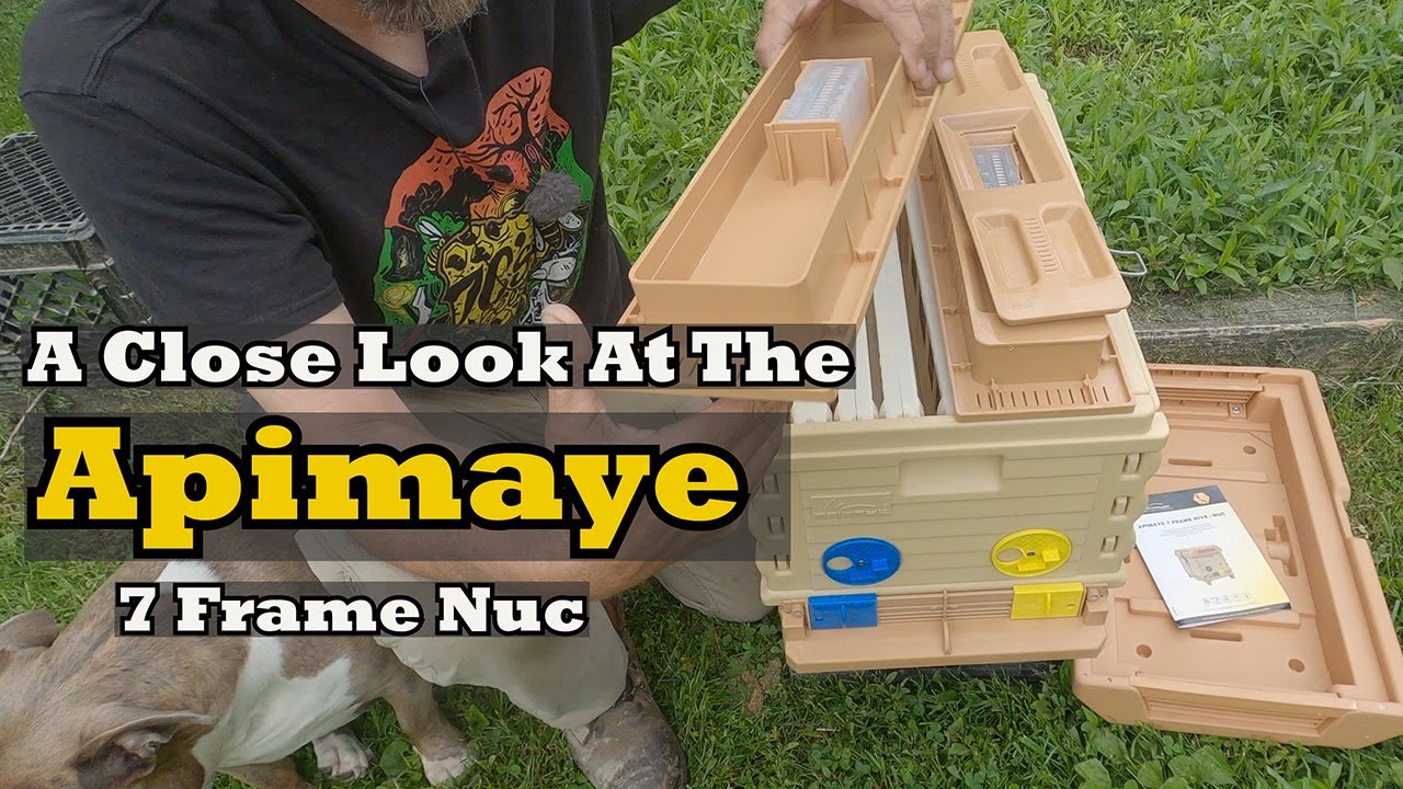 A Close Look At The Apimaye 7 Frame Nuc