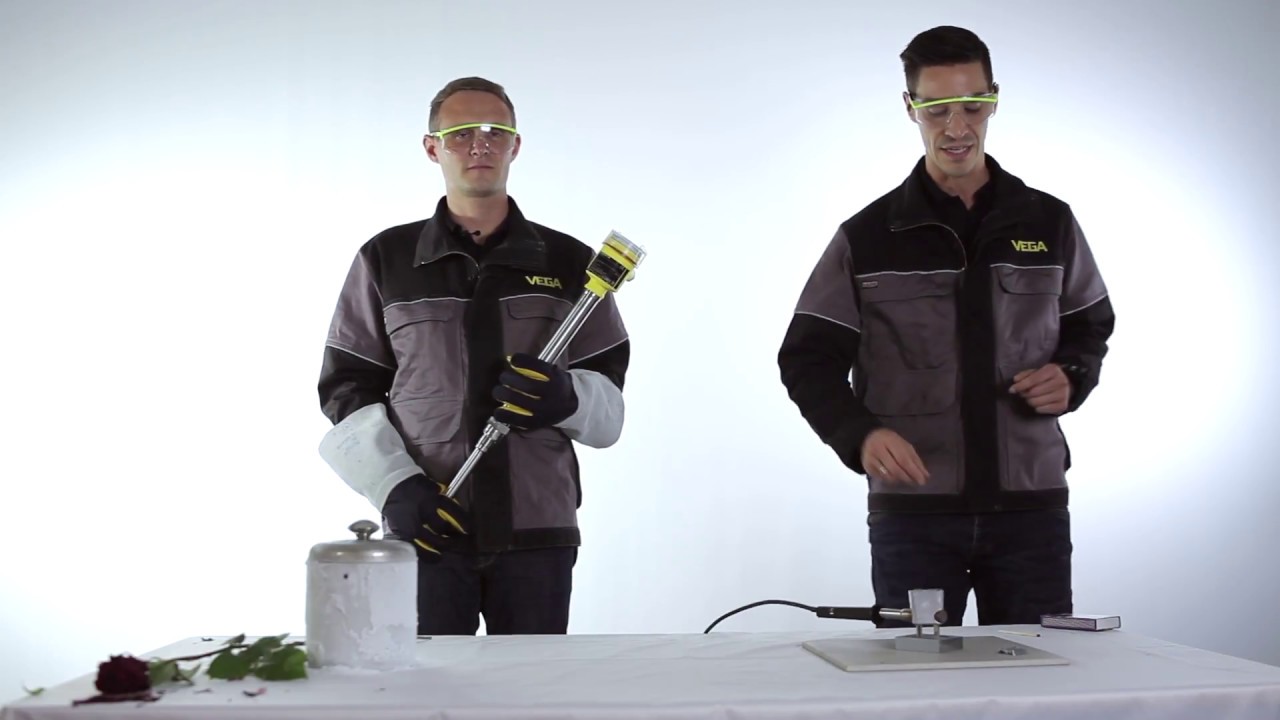Grenzschalter für extreme Prozessbedingungen | VEGASWING 66