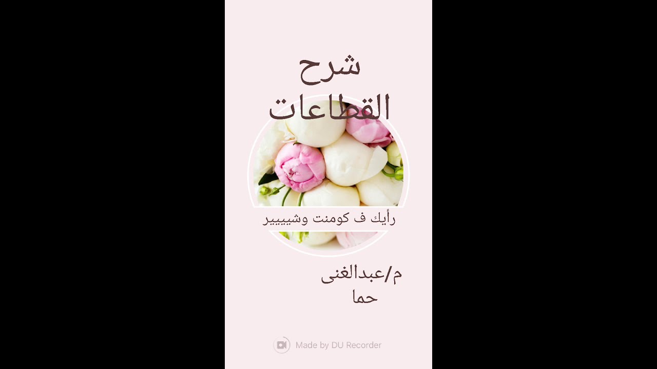 شرح القطاعات بالكامل فى نص نص ساعه 💪