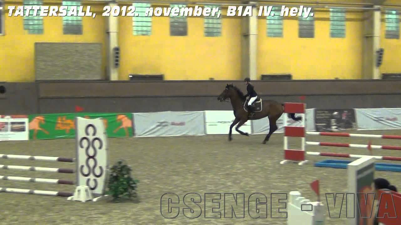 CSENGE-VIVA TATTERSALL 201211, B1A, LOVAGLAS, DIJUGRATAS