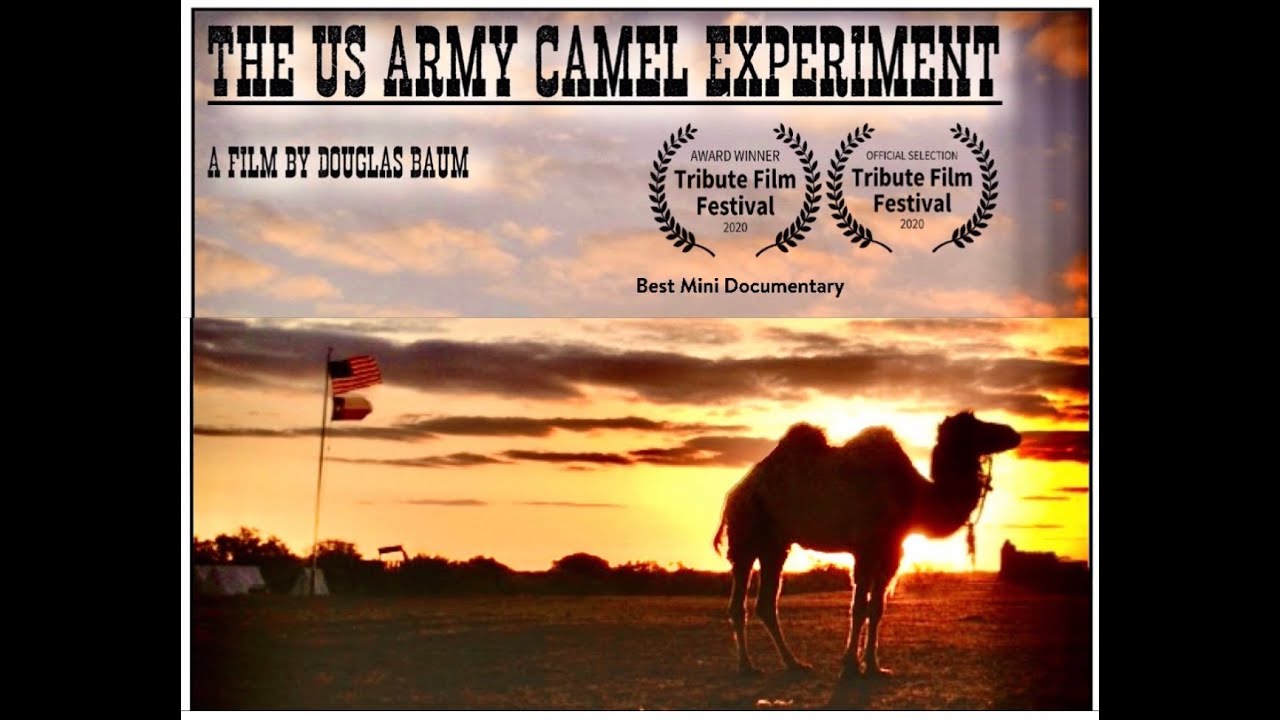The US Army Camel Experiment