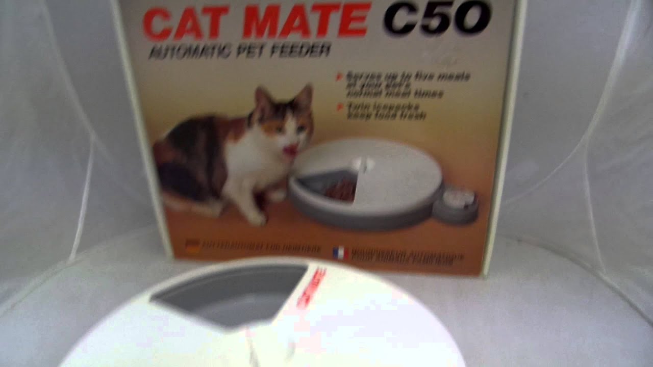 Cat Mate C50 Automatic Pet Feeder for sale on Ebay!