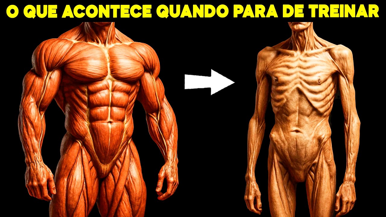O Que Acontece com Seu Corpo Quando Voc&ecirc; PARA de Treinar