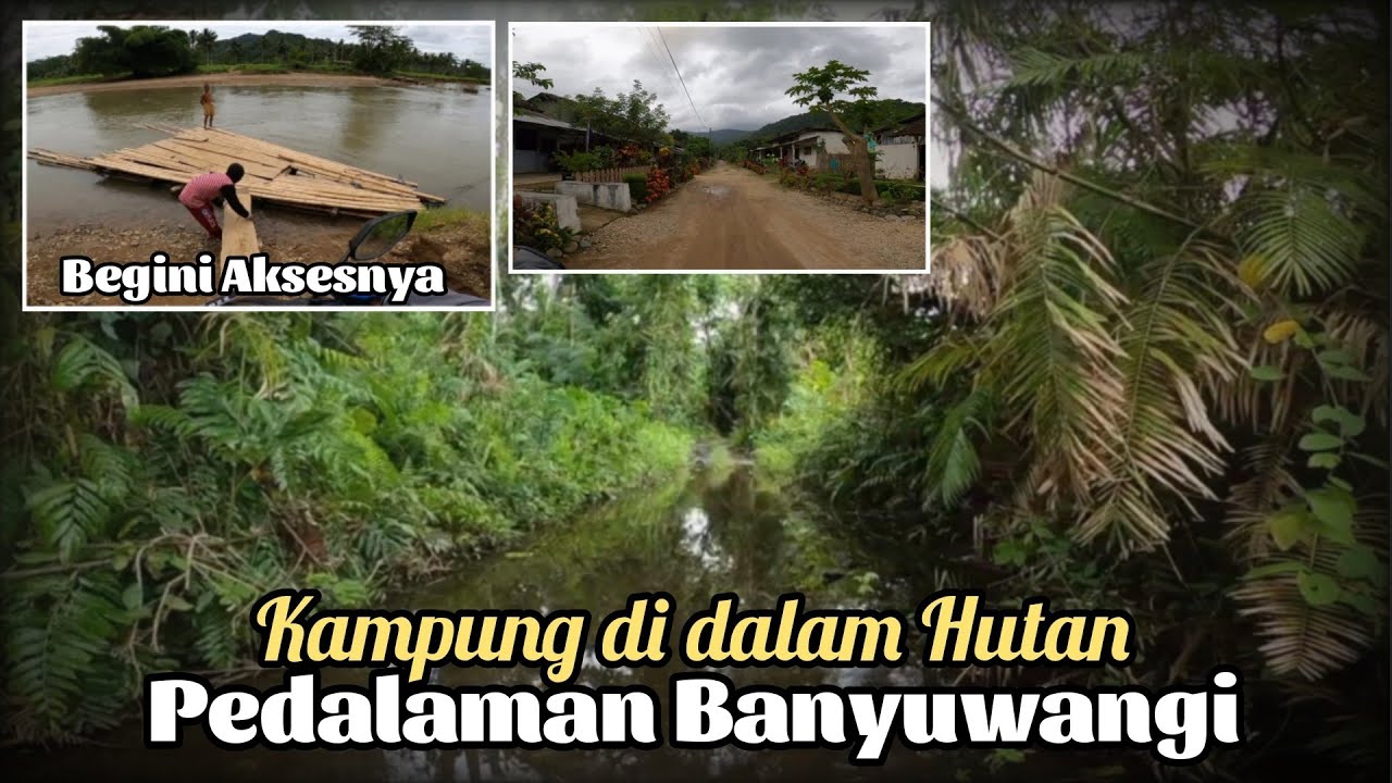 Jangan Sampai Motor Mogok di Sini, Perjalanan Menuju Kampung Terpencil di Taman Nasional Meru Betiri