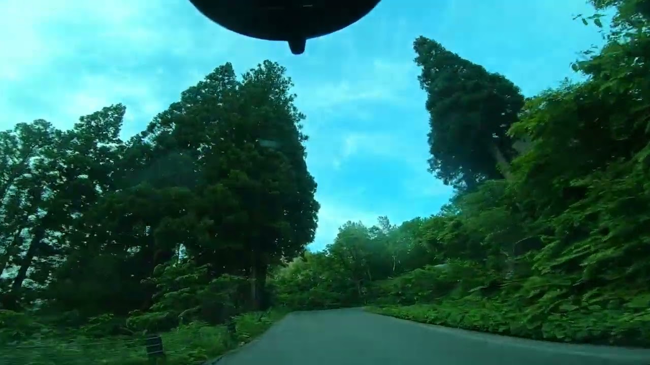 人生を半分生きて思ったこと