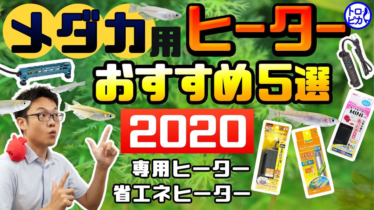 【2020年冬】メダカ用ヒーターおすすめ5選！メダカには省エネヒーターを使うべし